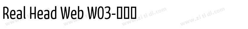 Real Head Web W03字体转换